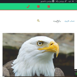 آموزش وردپرس رایگان