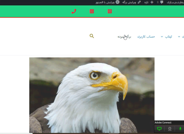 آموزش وردپرس رایگان